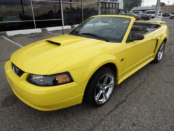 
2001 Ford Mustang GT Convertible full									