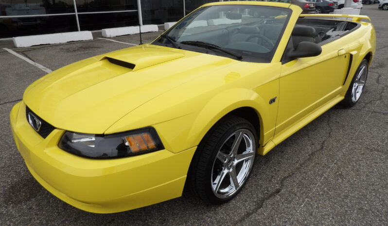 
2001 Ford Mustang GT Convertible full									