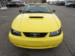
2001 Ford Mustang GT Convertible full									