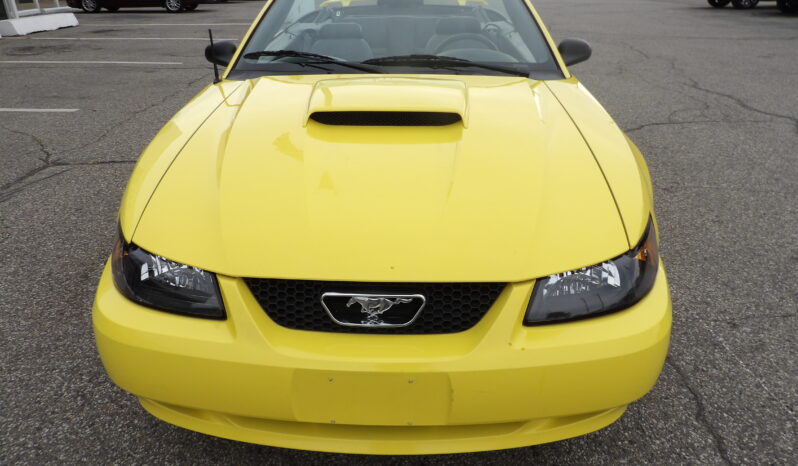 
2001 Ford Mustang GT Convertible full									