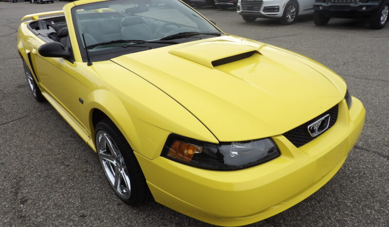 
2001 Ford Mustang GT Convertible full									