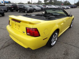 
2001 Ford Mustang GT Convertible full									