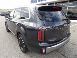 
2025 Kia Telluride full									