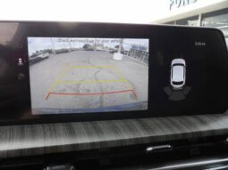 
2025 Kia Telluride full									