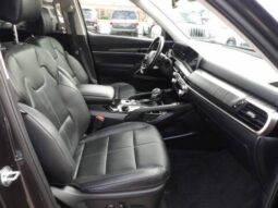 
2025 Kia Telluride full									