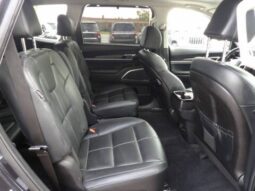 
2025 Kia Telluride full									