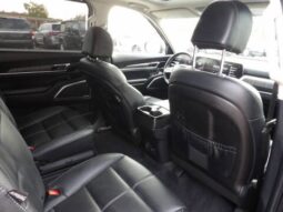 
2025 Kia Telluride full									