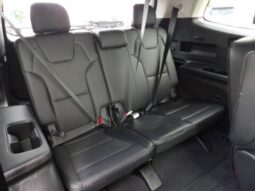 
2025 Kia Telluride full									