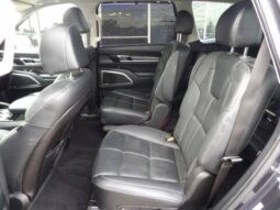 
2025 Kia Telluride full									