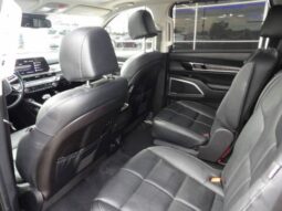 
2025 Kia Telluride full									