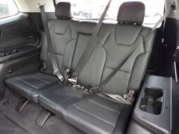 
2025 Kia Telluride full									