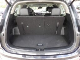 
2025 Kia Telluride full									