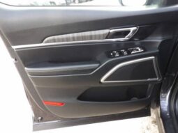 
2025 Kia Telluride full									