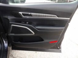 
2025 Kia Telluride full									
