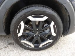 
2025 Kia Telluride full									