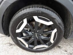 
2025 Kia Telluride full									