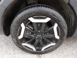
2025 Kia Telluride full									