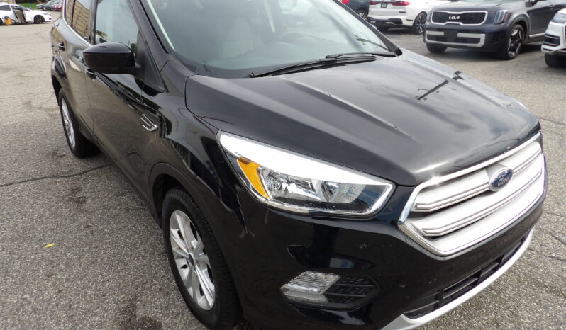 
2018 Ford Escape SE full									