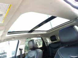 
2019 Cadillac XT5 Luxury SUV full									