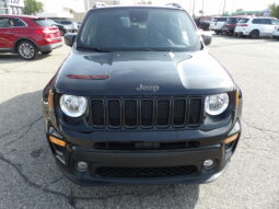 
2021 Jeep Renegade Latitude SUV full									