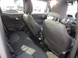
2021 Jeep Renegade Latitude SUV full									