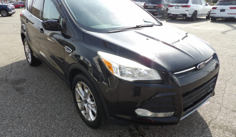 
2013 Ford Escape SE SUV full									