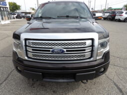 2013 Ford F-150 Platinum Crew Cab