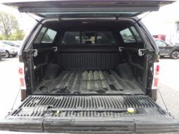 
2013 Ford F-150 Platinum Crew Cab full									