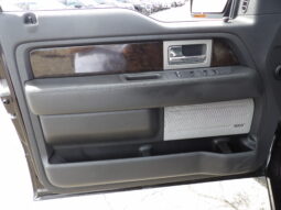 
2013 Ford F-150 Platinum Crew Cab full									