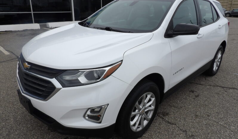 
								2019 Chevrolet Equinox LS SUV full									