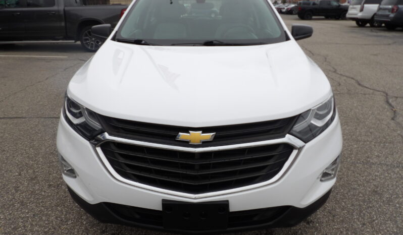 
								2019 Chevrolet Equinox LS SUV full									