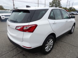 
										2019 Chevrolet Equinox LS SUV full									
