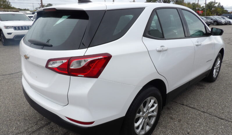 
								2019 Chevrolet Equinox LS SUV full									