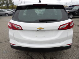 
										2019 Chevrolet Equinox LS SUV full									