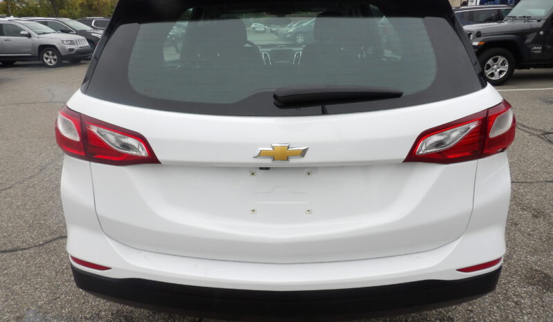 
								2019 Chevrolet Equinox LS SUV full									