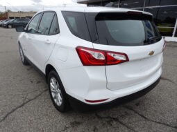 
										2019 Chevrolet Equinox LS SUV full									