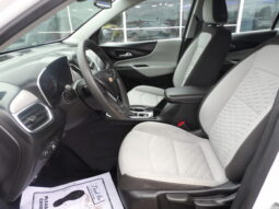 
										2019 Chevrolet Equinox LS SUV full									