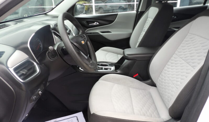 
								2019 Chevrolet Equinox LS SUV full									