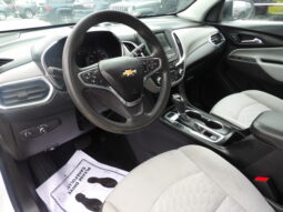 
										2019 Chevrolet Equinox LS SUV full									