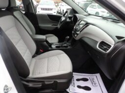 
										2019 Chevrolet Equinox LS SUV full									
