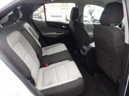 
										2019 Chevrolet Equinox LS SUV full									