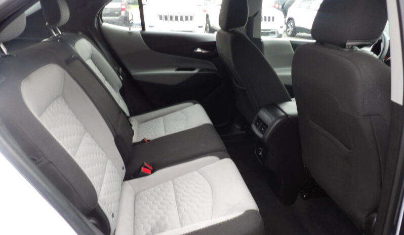 
								2019 Chevrolet Equinox LS SUV full									