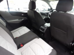 
										2019 Chevrolet Equinox LS SUV full									