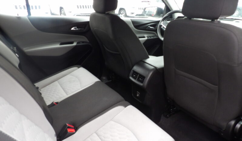 
								2019 Chevrolet Equinox LS SUV full									