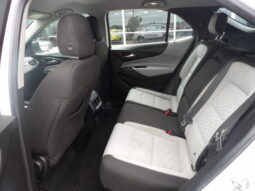 
										2019 Chevrolet Equinox LS SUV full									