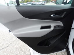 
										2019 Chevrolet Equinox LS SUV full									