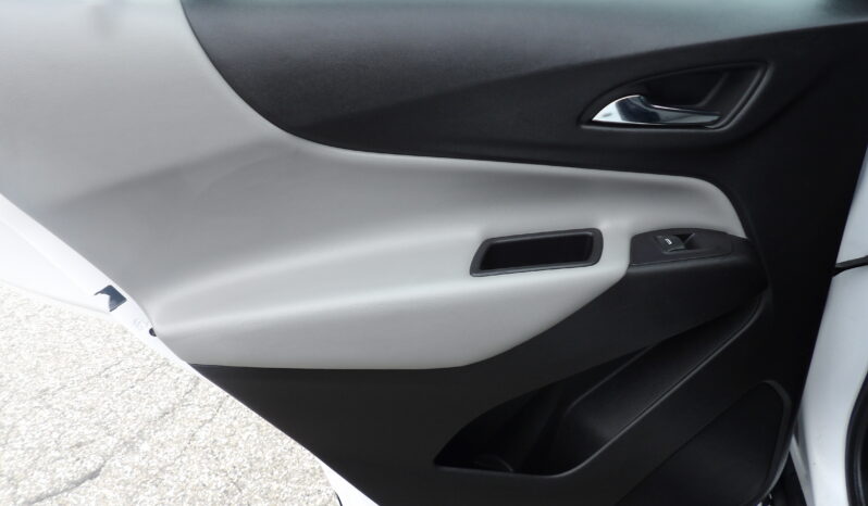 
								2019 Chevrolet Equinox LS SUV full									