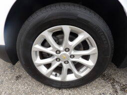 
										2019 Chevrolet Equinox LS SUV full									