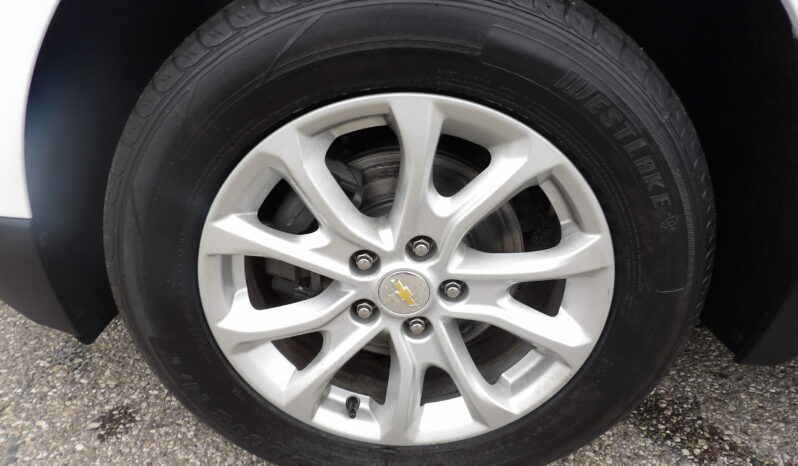 
								2019 Chevrolet Equinox LS SUV full									