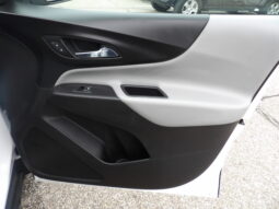 
										2019 Chevrolet Equinox LS SUV full									